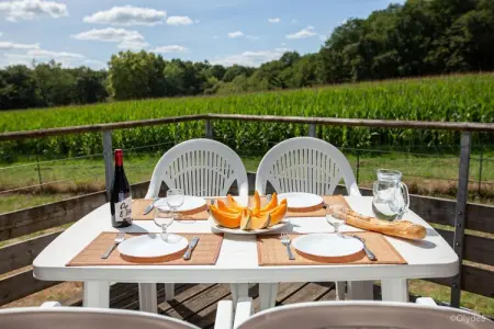 Residence Les Hameaux de la Chalosse Cassen // 3pcs 6 pers - Photo 54