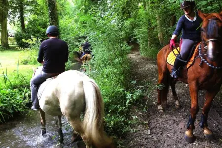Holiday resort Normandie Forges-les-Eaux // Gîte 3 pcs 5 pers et 1 bébé 2 salles d'eau - Photo 15