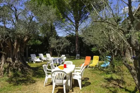 Ferienhaus in Vaison-la-Romaine / L'Olivier, Maison 9 personnes à Vaison la Romaine - Photo 8