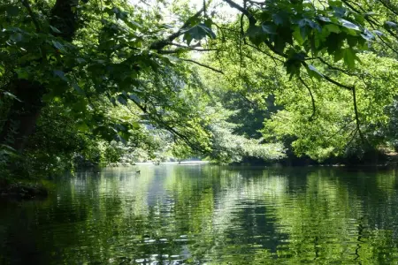 Ferienhaus in L'Isle-sur-la-Sorgue, Maison 4 personnes à L'Isle sur la Sorgue - Photo 24