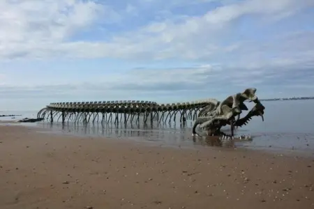 Résidence le Domaine de L'Océan 1, Maison de vacances avec terrasse à 600 m de la plage - Photo 29