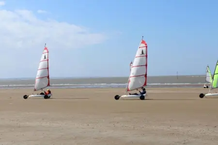 Résidence le Domaine de L'Océan 2, Appartement soigné avec terrasse à 600 m de la plage - Photo 37