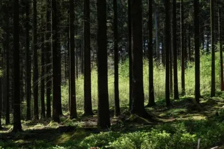 Résidence Le Hameau du Moulin 3, Beau parc de vacances avec piscine, au milieu de la Dordogne. - Photo 31