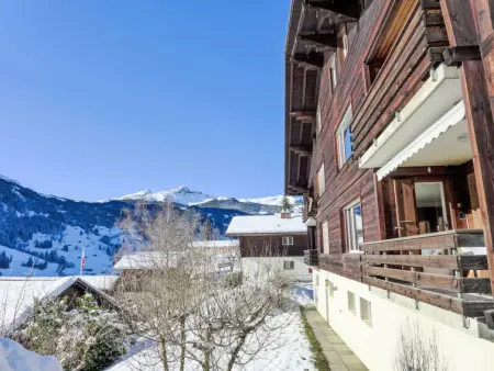 SnowKaya Grindelwald, Appartement 4 personnes à Grindelwald - Photo 22