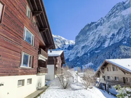 SnowKaya Grindelwald, Appartement 4 personnes à Grindelwald - Photo 23