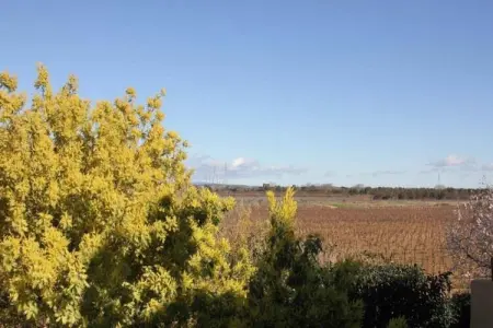 Résidence Côté Canal 2, Agréable maison de vacances avec terrasse entourée de vignes - Photo 27