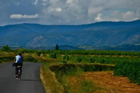 Résidence Côté Canal 2, Agréable maison de vacances avec terrasse entourée de vignes - Photo 29