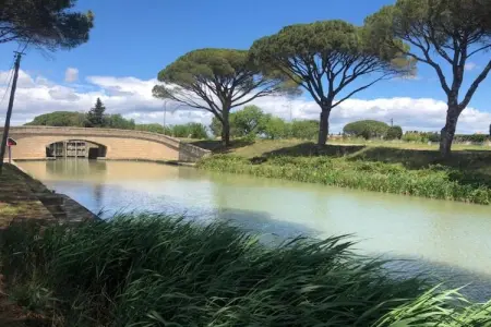 Résidence Côté Canal 2, Agréable maison de vacances avec terrasse entourée de vignes - Photo 32