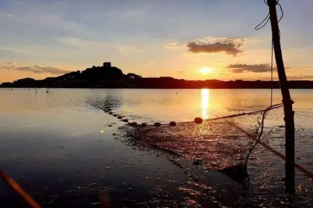 Résidence Côté Canal 2, Agréable maison de vacances avec terrasse entourée de vignes - Photo 33