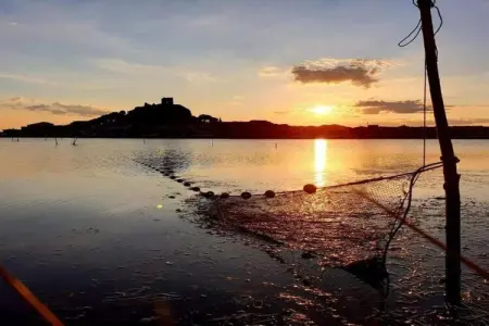 Résidence Côté Canal 1, Agréable maison de vacances avec terrasse entourée de vignes - Photo 31