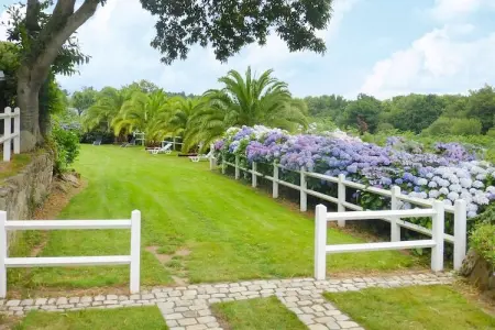 holiday home Buguélès-Penvénan, Maison 4 personnes à Penvénan - Photo 16