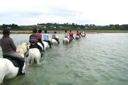 holiday home Buguélès-Penvénan, Maison 4 personnes à Penvénan - Photo 23