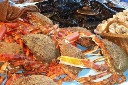 holiday home Guilvinec, Maison 6 personnes à Guilvinec - Photo 15