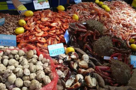 holiday home, Les Grandes-Ventes-La Rosée-La Rosée - Photo 19