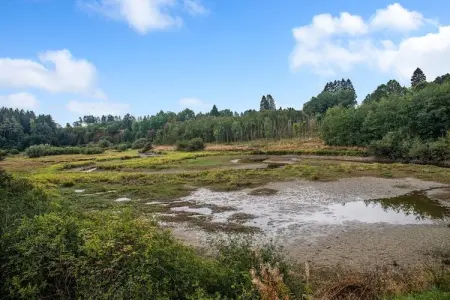 Charmante habitation avec Sauna infrarouge à Wirtzfeld - Photo 36