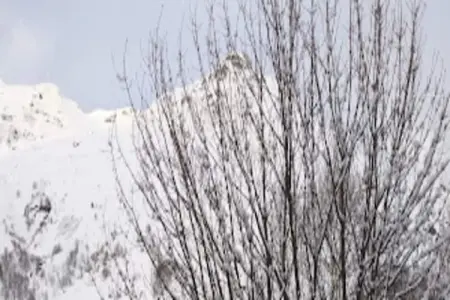 Chalet d'Alice, Chalet de style près des pistes aux Menuires - Photo 8