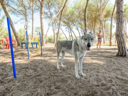 Blue, Maison 4 personnes à Piombino - Photo 14