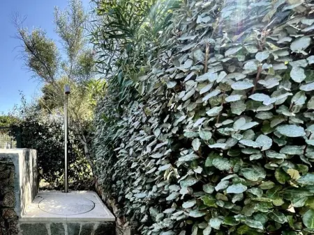 House Boat Large, Maison 8 personnes à San Teodoro - Photo 31