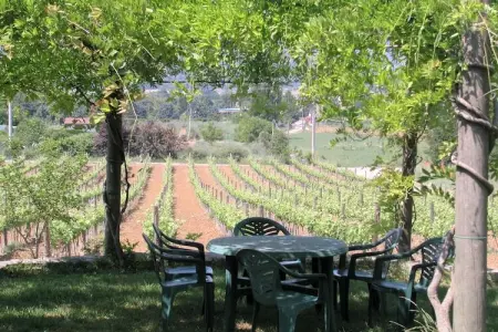 Il Giardiniere, Ferme cosy avec piscine à Umbertide - Photo 6
