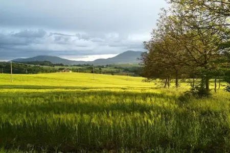 Il Giardiniere, Ferme cosy avec piscine à Umbertide - Photo 32