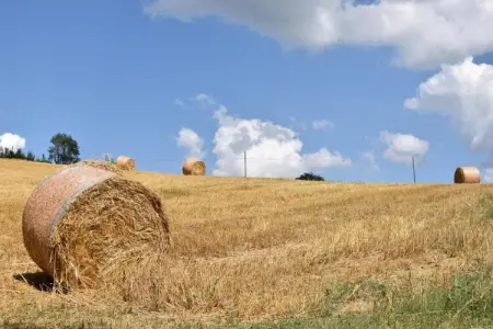 Il Giardiniere, Ferme cosy avec piscine à Umbertide - Photo 33