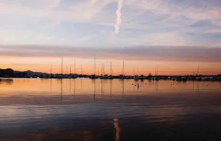 Location Appartement 6 personnes à Bibinje - Photo 42