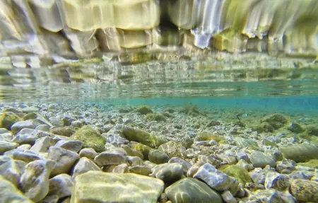 Location Appartement 4 personnes à Bibinje - Photo 38