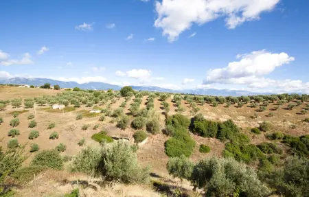 Location Maison 19 personnes à San Marco Argentano - Photo 15