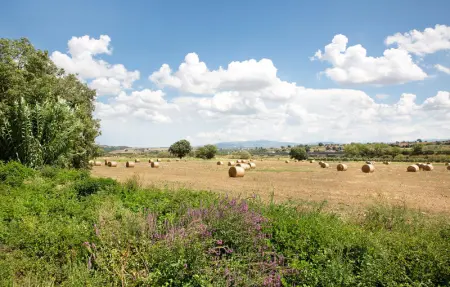 Location Maison 19 personnes à San Marco Argentano - Photo 47