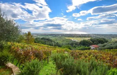 Location Maison 8 personnes à Pietrasanta - Photo 4