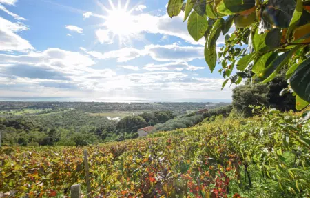 Location Maison 8 personnes à Pietrasanta - Photo 12