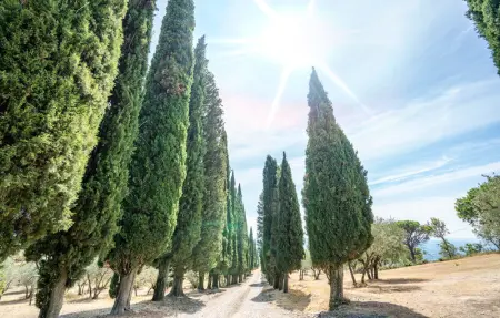 Location Maison 6 personnes à Loro Ciuffenna - Photo 6