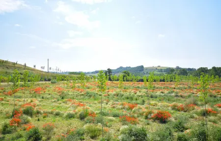 Location Maison 10 personnes à San Miniato - Photo 50