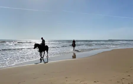 Location Maison 4 personnes à Torrenova - Photo 5