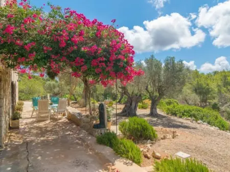 Can Tiona, Maison 4 personnes à Andratx - Photo 4