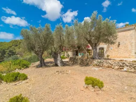 Can Tiona, Maison 4 personnes à Andratx - Photo 18