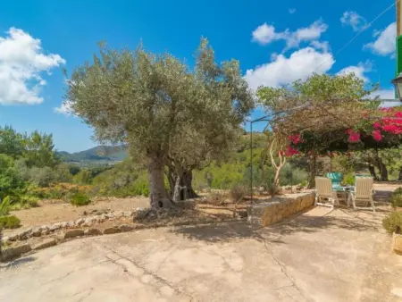 Can Tiona, Maison 4 personnes à Andratx - Photo 19