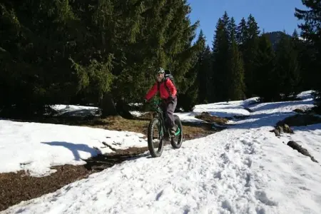 Les Fermes de Samoëns 1, Agréable appartement avec balcon au Grand Massif - Photo 33
