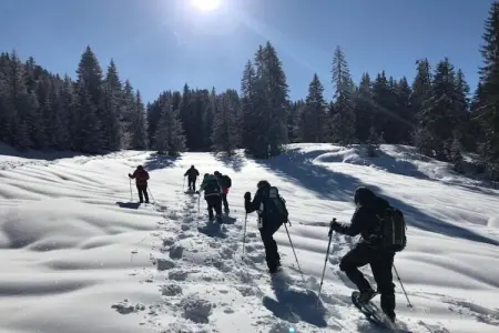 Les Fermes de Samoëns 1, Agréable appartement avec balcon au Grand Massif - Photo 34
