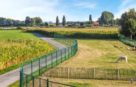 Location Maison 30 personnes à Diksmuide - Photo 29
