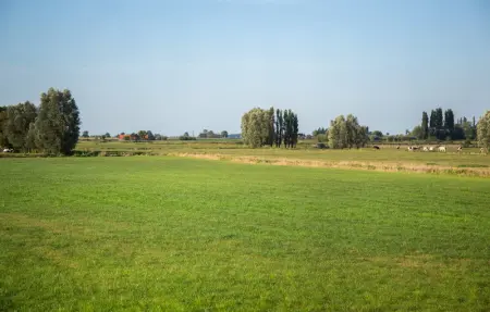 Location Maison 30 personnes à Diksmuide - Photo 31