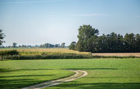 Location Maison 4 personnes à Diksmuide - Photo 21