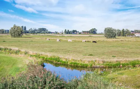 Location Maison 4 personnes à Diksmuide - Photo 22