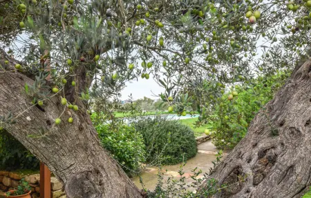 Location Maison 15 personnes à Caltagirone - Photo 29