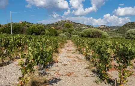 Location Maison 9 personnes à Bosa - Photo 33