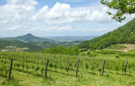 Location Maison 4 personnes à Cornuda - Photo 5