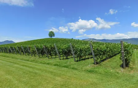 Location Maison 4 personnes à Cornuda - Photo 16