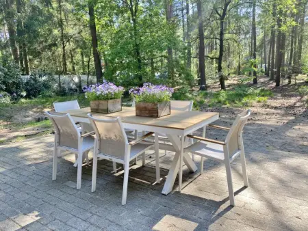 Boshuisje, Maison 4 personnes à Lille - Photo 6