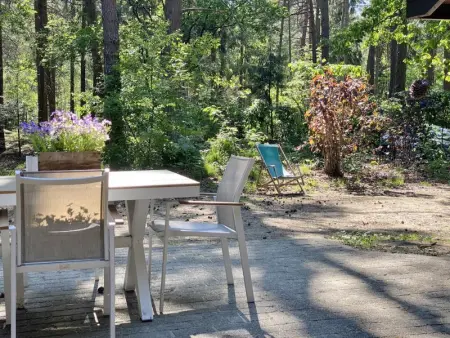 Boshuisje, Maison 4 personnes à Lille - Photo 22