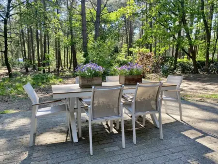 Boshuisje, Maison 4 personnes à Lille - Photo 36